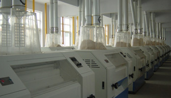 玉米面粉mill.jpg