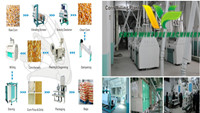 玉米粉铣削项目