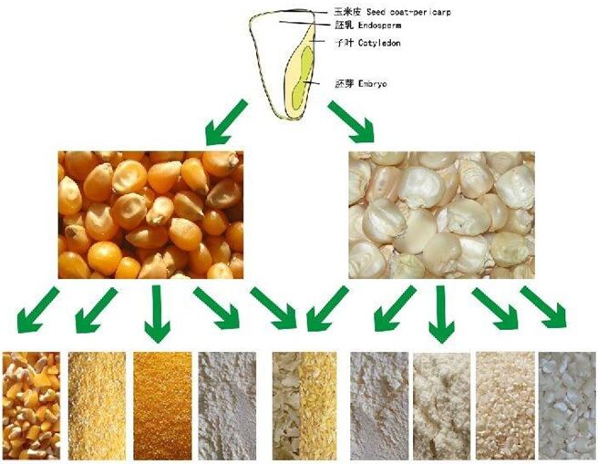 玉米粉加工厂